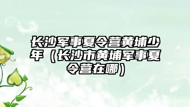 長沙軍事夏令營黃埔少年（長沙市黃埔軍事夏令營在哪）