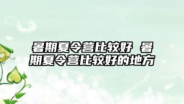 暑期夏令營比較好 暑期夏令營比較好的地方