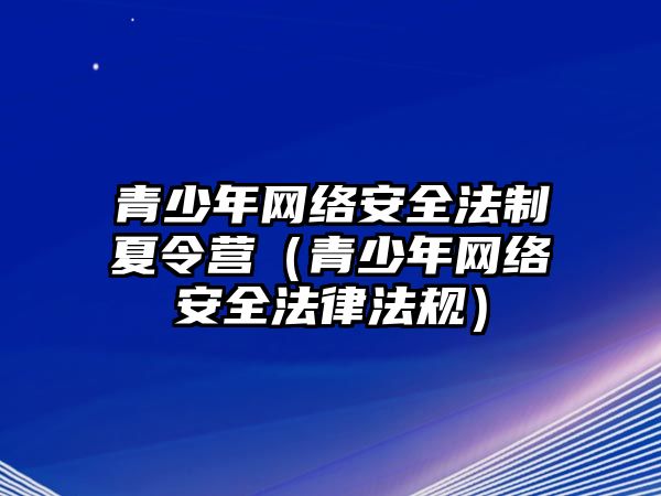 青少年網絡安全法制夏令營（青少年網絡安全法律法規）