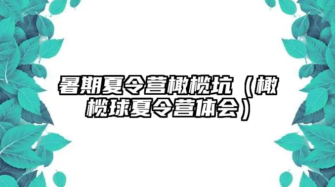 暑期夏令營橄欖坑（橄欖球夏令營體會）