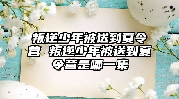 叛逆少年被送到夏令營 叛逆少年被送到夏令營是哪一集