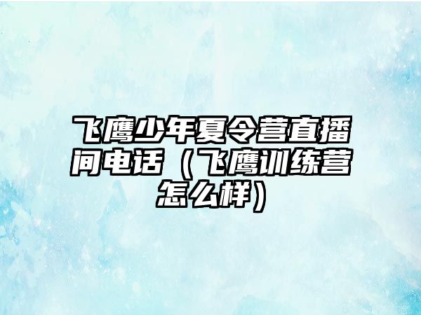 飛鷹少年夏令營直播間電話（飛鷹訓練營怎么樣）