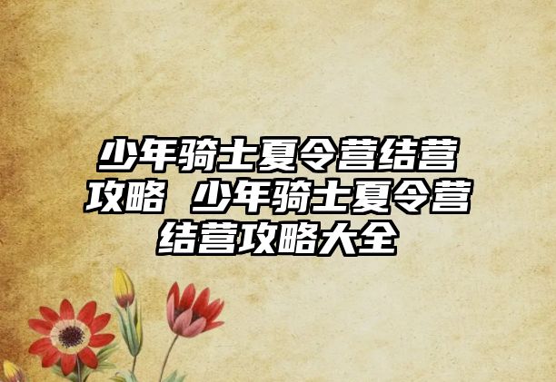 少年騎士夏令營結營攻略 少年騎士夏令營結營攻略大全