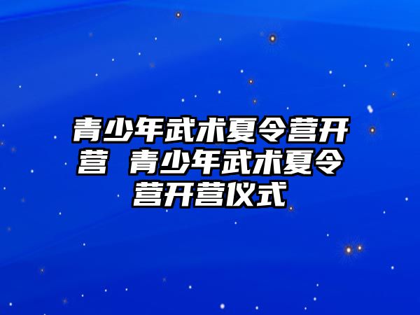 青少年武術夏令營開營 青少年武術夏令營開營儀式