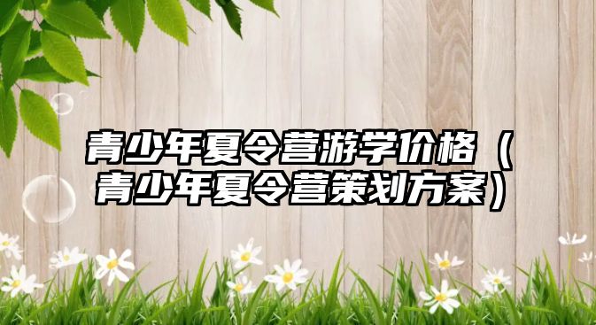 青少年夏令營游學價格（青少年夏令營策劃方案）