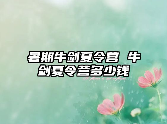 暑期牛劍夏令營 牛劍夏令營多少錢