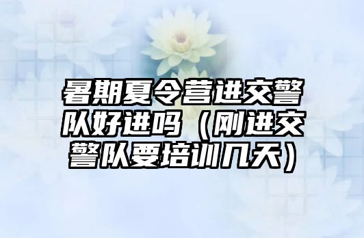 暑期夏令營進交警隊好進嗎（剛進交警隊要培訓幾天）