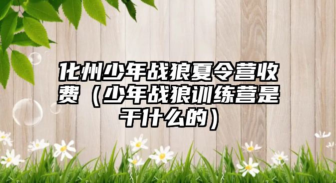 化州少年戰(zhàn)狼夏令營收費（少年戰(zhàn)狼訓練營是干什么的）