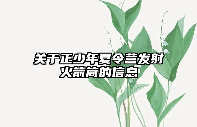 關于正少年夏令營發射火箭筒的信息