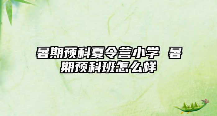 暑期預科夏令營小學 暑期預科班怎么樣