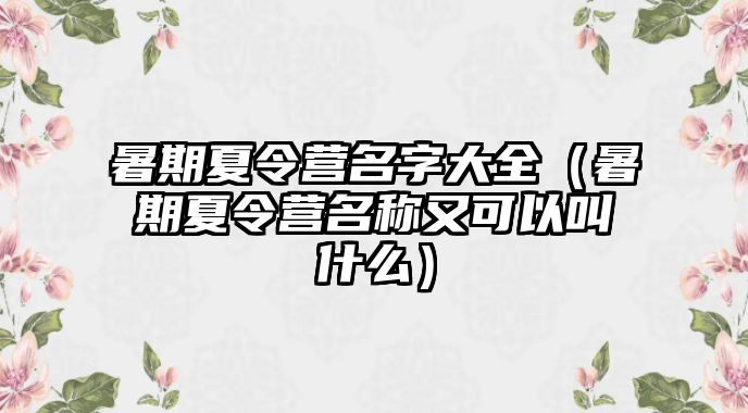 暑期夏令營名字大全（暑期夏令營名稱又可以叫什么）