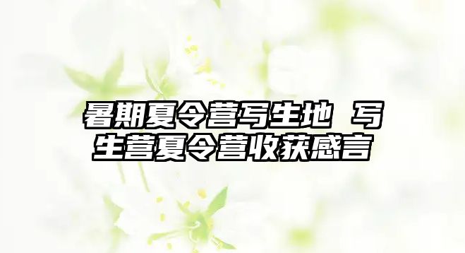 暑期夏令營寫生地 寫生營夏令營收獲感言