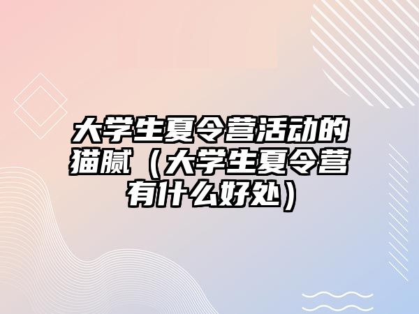 大學生夏令營活動的貓膩（大學生夏令營有什么好處）