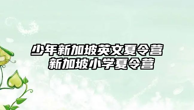 少年新加坡英文夏令營 新加坡小學夏令營