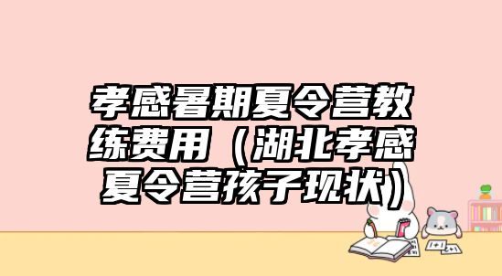 孝感暑期夏令營教練費用（湖北孝感夏令營孩子現狀）