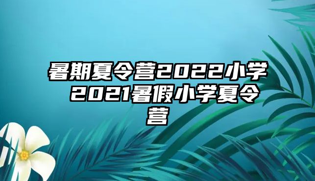 暑期夏令營2022小學 2021暑假小學夏令營