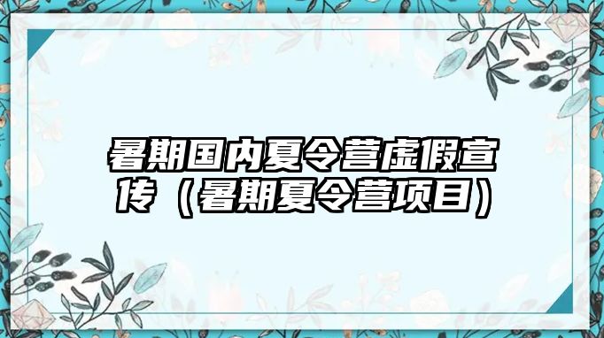 暑期國內夏令營虛假宣傳（暑期夏令營項目）