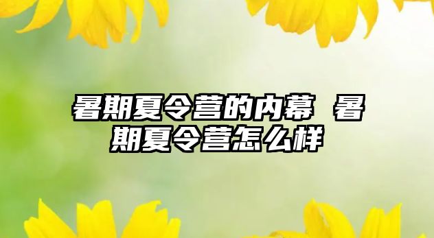 暑期夏令營的內(nèi)幕 暑期夏令營怎么樣