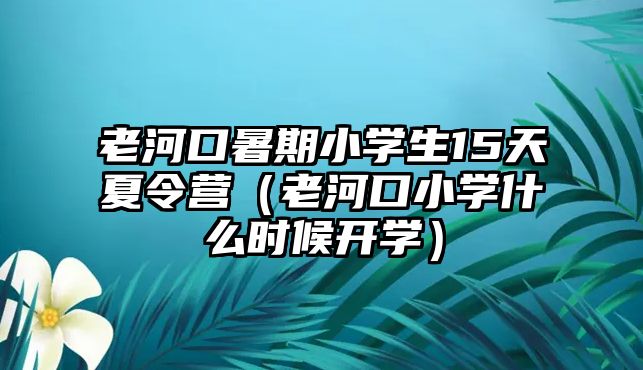 老河口暑期小學生15天夏令營（老河口小學什么時候開學）