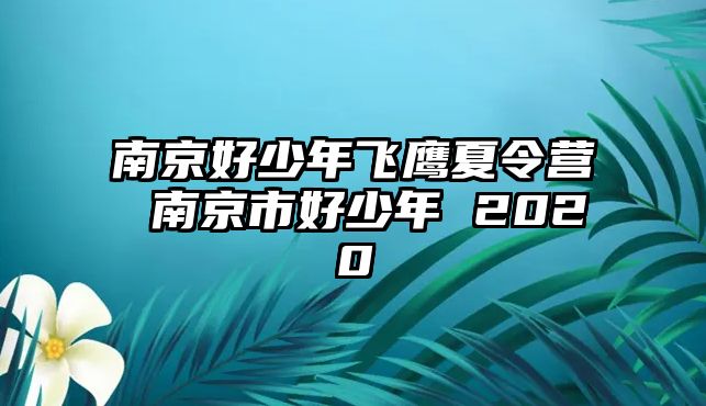 南京好少年飛鷹夏令營 南京市好少年 2020