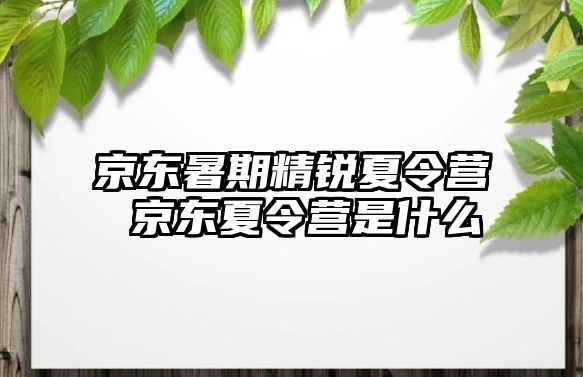 京東暑期精銳夏令營(yíng) 京東夏令營(yíng)是什么