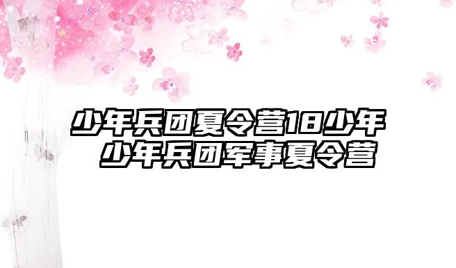 少年兵團夏令營18少年 少年兵團軍事夏令營