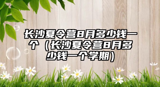 長沙夏令營8月多少錢一個（長沙夏令營8月多少錢一個學期）