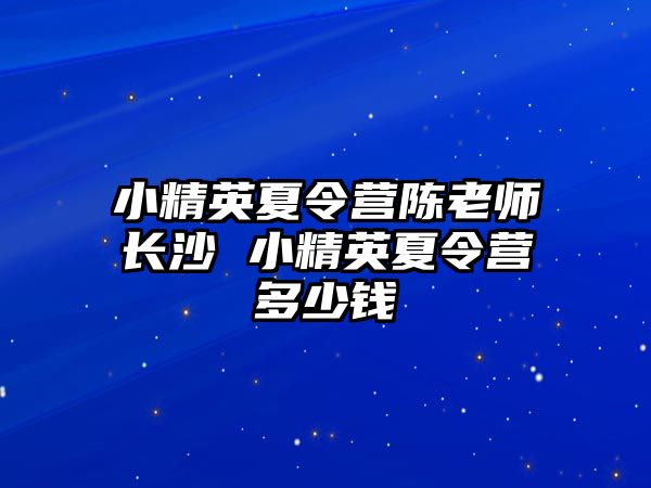 小精英夏令營陳老師長沙 小精英夏令營多少錢