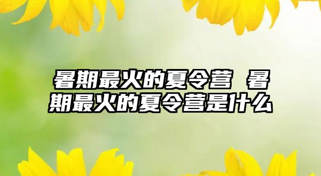 暑期最火的夏令營 暑期最火的夏令營是什么