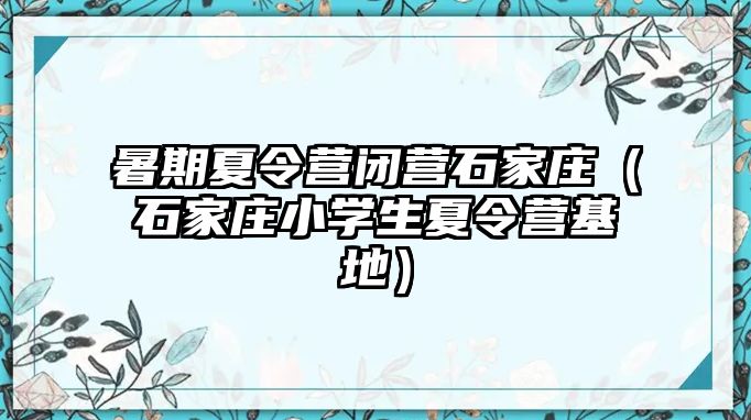 暑期夏令營閉營石家莊（石家莊小學生夏令營基地）