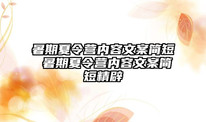 暑期夏令營內容文案簡短 暑期夏令營內容文案簡短精辟