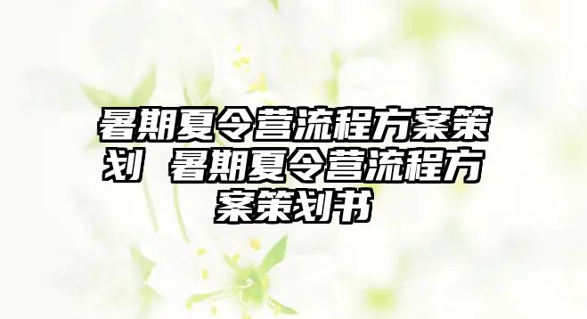 暑期夏令營流程方案策劃 暑期夏令營流程方案策劃書