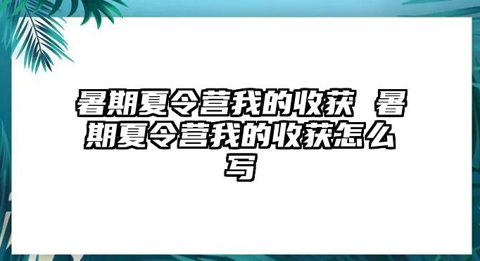 暑期夏令營我的收獲 暑期夏令營我的收獲怎么寫