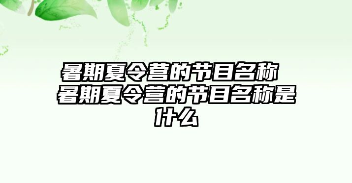 暑期夏令營的節目名稱 暑期夏令營的節目名稱是什么