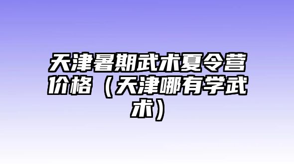 天津暑期武術夏令營價格（天津哪有學武術）