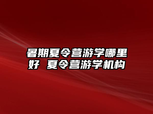 暑期夏令營游學哪里好 夏令營游學機構