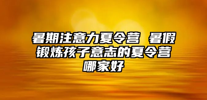 暑期注意力夏令營 暑假鍛煉孩子意志的夏令營哪家好