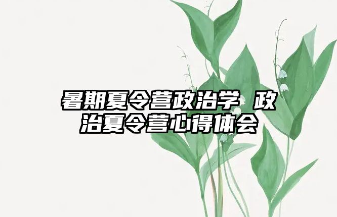 暑期夏令營政治學 政治夏令營心得體會