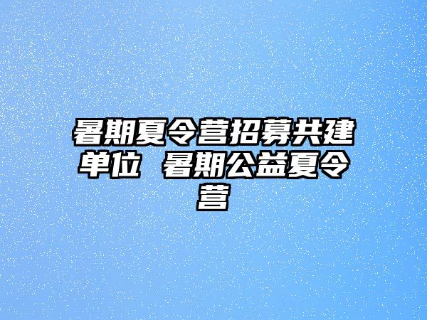 暑期夏令營招募共建單位 暑期公益夏令營