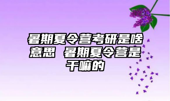 暑期夏令營考研是啥意思 暑期夏令營是干嘛的