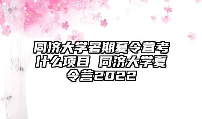 同濟大學暑期夏令營考什么項目 同濟大學夏令營2022