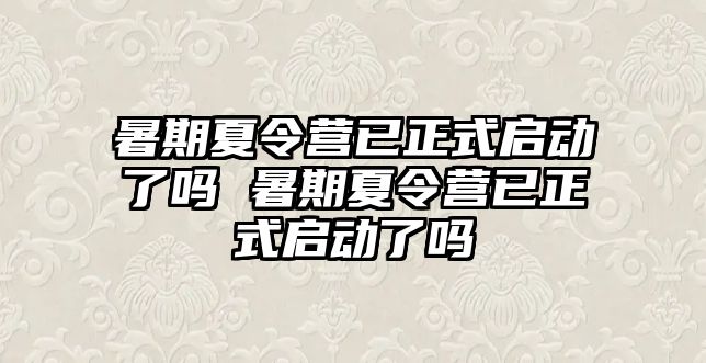 暑期夏令營已正式啟動了嗎 暑期夏令營已正式啟動了嗎