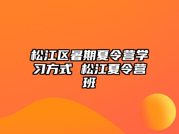 松江區(qū)暑期夏令營學(xué)習(xí)方式 松江夏令營班