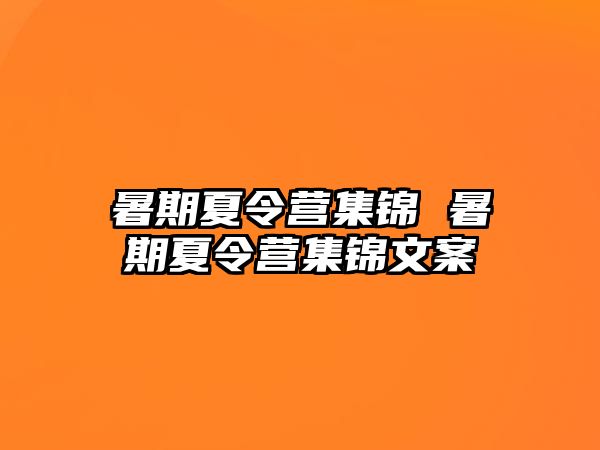 暑期夏令營集錦 暑期夏令營集錦文案