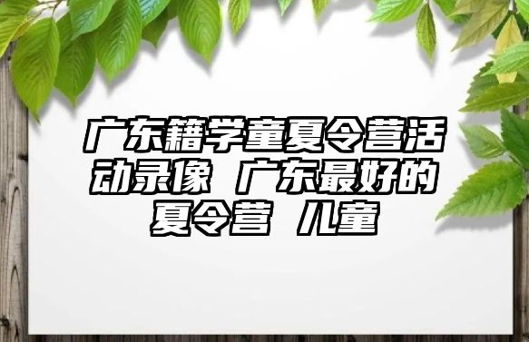 廣東籍學童夏令營活動錄像 廣東最好的夏令營 兒童