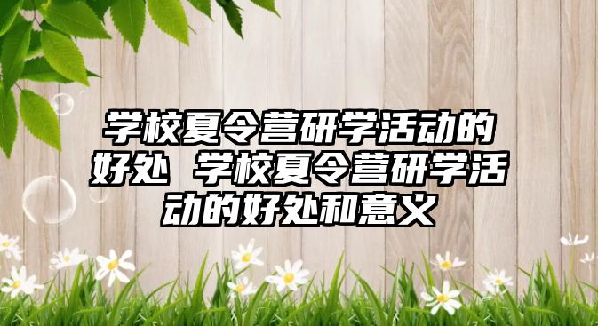 學校夏令營研學活動的好處 學校夏令營研學活動的好處和意義