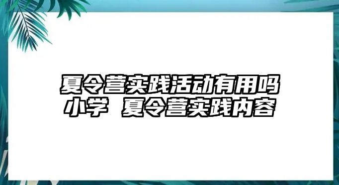 夏令營實踐活動有用嗎小學 夏令營實踐內容