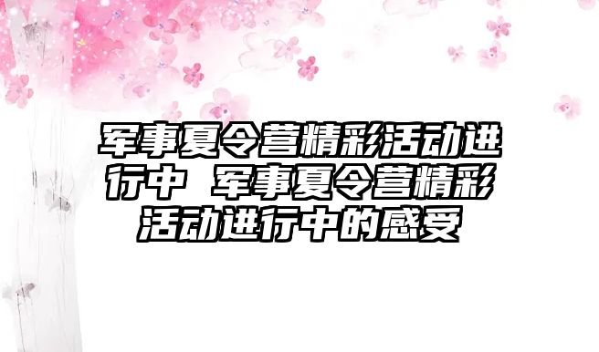 軍事夏令營精彩活動進行中 軍事夏令營精彩活動進行中的感受