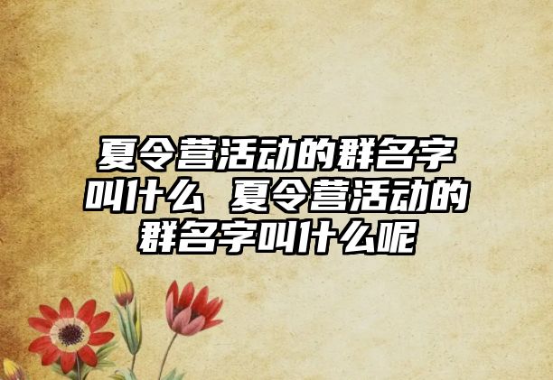 夏令營活動的群名字叫什么 夏令營活動的群名字叫什么呢