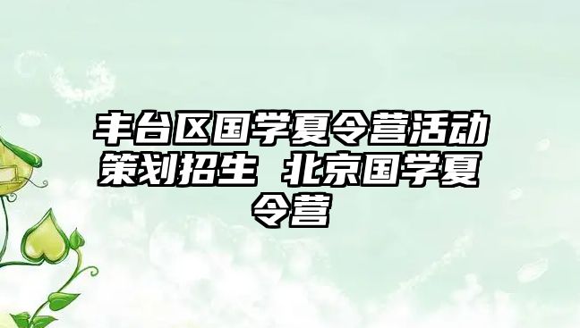 豐臺區國學夏令營活動策劃招生 北京國學夏令營